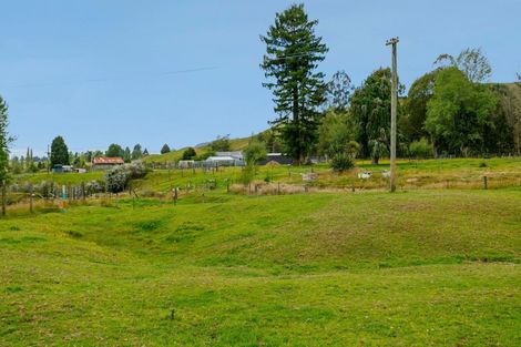 Photo of property in 298 Oio Road, Owhango, 3989