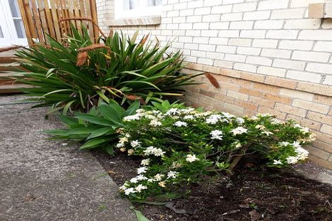 Photo of property in 14 Greta Street, Glenview, Hamilton, 3206