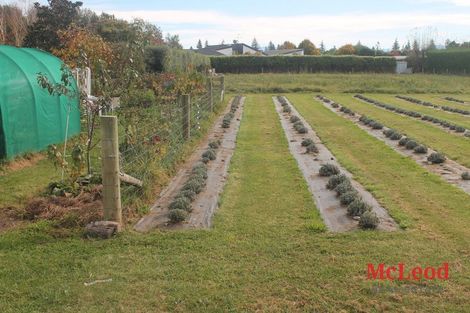 Photo of property in 73 Northpark Road, Newland, Ashburton, 7772