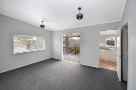 Photo of property in 51 Lawrence Street, Mornington, Dunedin, 9011