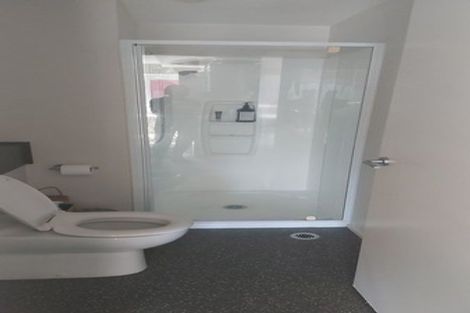 Photo of property in The Peak Apartments, 1001/170 Taranaki Street, Te Aro, Wellington, 6011