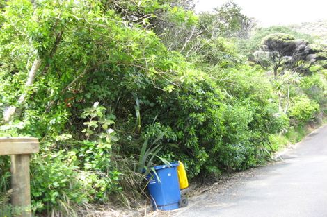 Photo of property in 70 Rayner Road, Piha, 0772