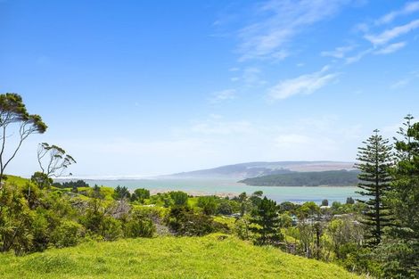 Photo of property in 80 Port Waikato-waikaretu Road, Port Waikato, 2695