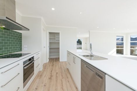 Photo of property in 20 Travers Avenue, Richmond, 7020