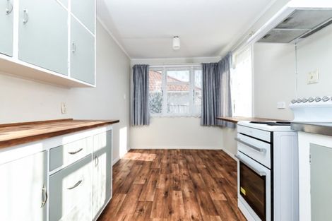 Photo of property in 55 Ross Crescent, Fairfield, Hamilton, 3214