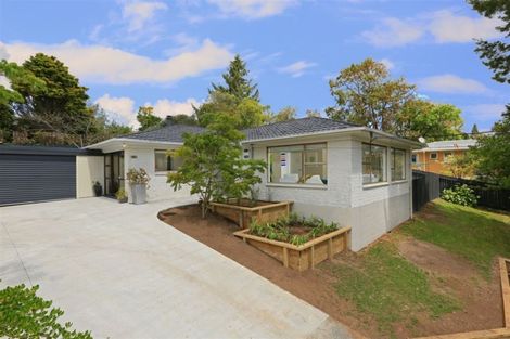 Photo of property in 46b Kamara Road, Glen Eden, Auckland, 0602