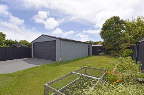 Photo of property in 42 Petrie Street, Richmond, Christchurch, 8013