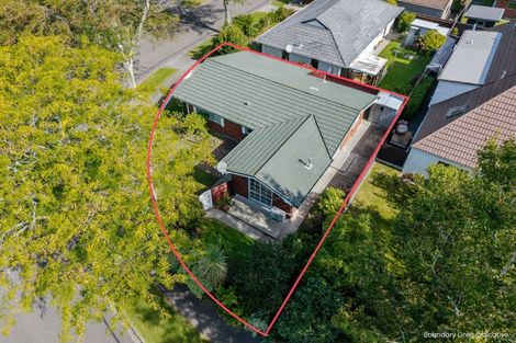 Photo of property in 17 Earl Place, Hokowhitu, Palmerston North, 4410