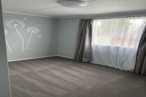 Photo of property in 21 Antimony Crescent, Cromwell, 9310