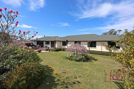 Photo of property in 331 Homestead Road, Weston, Oamaru, 9491