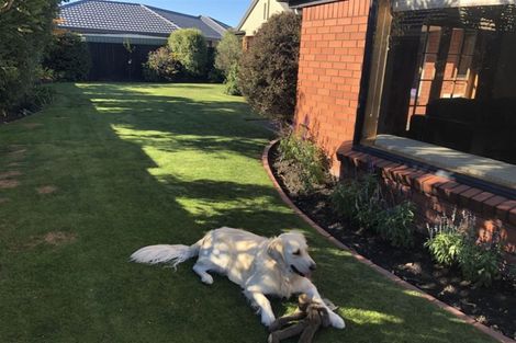 Photo of property in 20 Marquess Avenue, Halswell, Christchurch, 8025