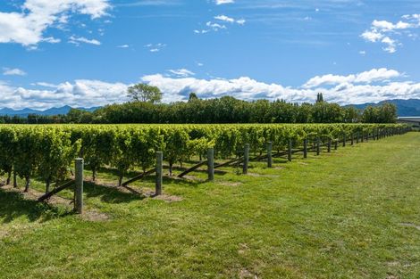 Photo of property in 5 Brook Street, Renwick, 7204