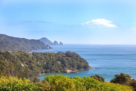 Photo of property in 1447b Port Charles Road, Port Charles, Coromandel, 3584