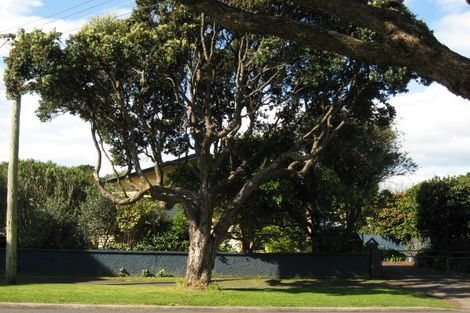 Photo of property in 17 Richmond Street, Fitzroy, New Plymouth, 4312