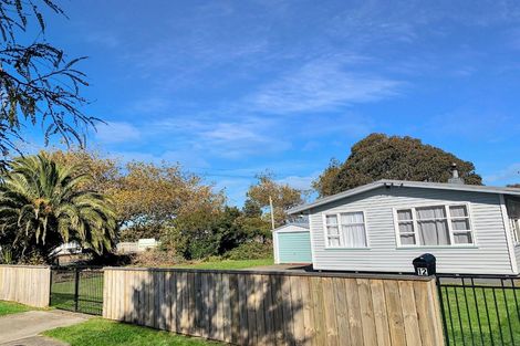 Photo of property in 12 Robinson Street, Foxton, 4814