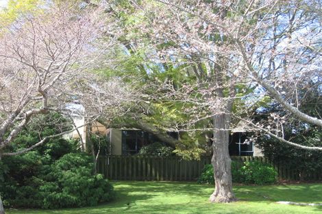 Photo of property in 144 Grace Road, Tauranga South, Tauranga, 3112