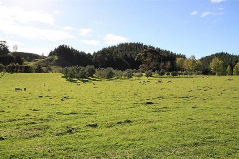 Photo of property in 62 Delhi Avenue, Aramoho, Whanganui, 4500