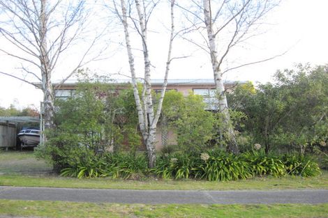 Photo of property in 25 Taringa Avenue, Kuratau, Turangi, 3381