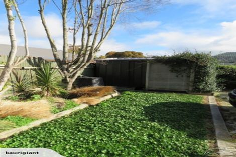 Photo of property in 14a Graham Street, Hamilton East, Hamilton, 3216