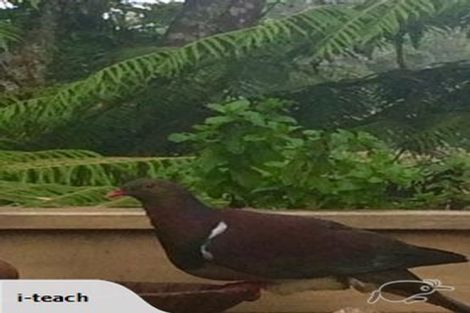 Photo of property in 3/30 Kauri Road, Birkenhead, Auckland, 0626