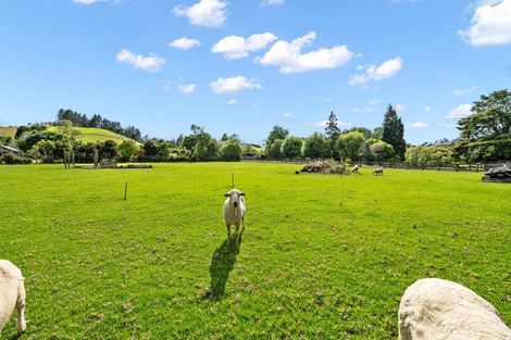 Photo of property in 41 Sands Road, Glenbervie, Whangarei, 0173