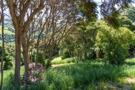 Photo of property in 24 Fred Hollows Way, Glenleith, Dunedin, 9010