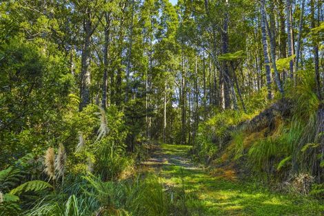 Photo of property in 131 Upper Harbour Drive, Greenhithe, Auckland, 0632