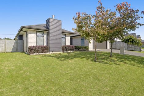 Photo of property in 14 Saint Thomas Avenue, Pyes Pa, Tauranga, 3112