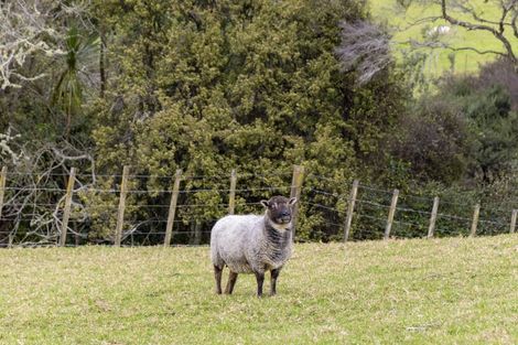 Photo of property in 35 Downer Access Road, Kaukapakapa, 0873