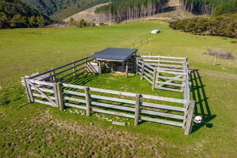 Photo of property in 344 Crail Bay Road, Crail Bay, Marlborough Sounds, 7282