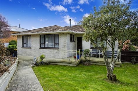 Photo of property in 12 Salisbury Road, Bradford, Dunedin, 9011