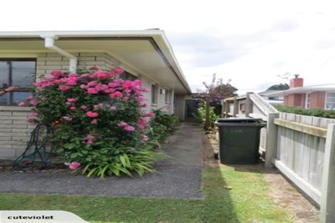 Photo of property in 21a Bowen Street, Cambridge, 3434