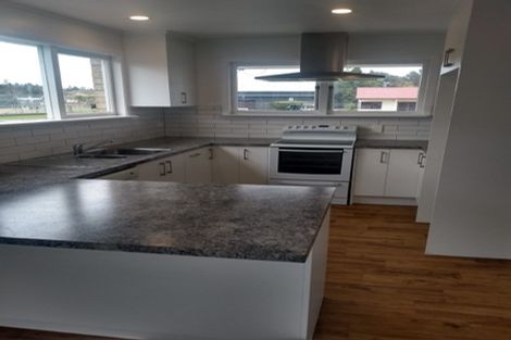 Photo of property in 13 Hobson Street, Maeroa, Hamilton, 3200