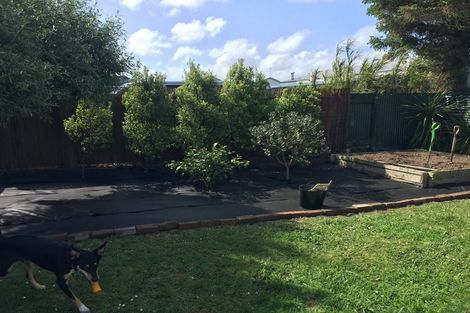 Photo of property in 28 Miro Street, Takaro, Palmerston North, 4410