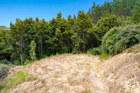 Photo of property in 663 Bickerstaffe Road, Maungaturoto, 0587