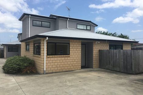 Photo of property in 3b Pitt Street, Frankton, Hamilton, 3204