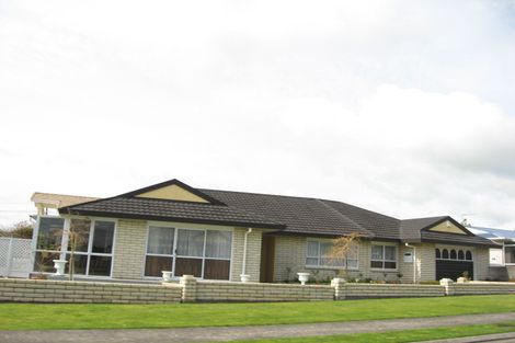 Photo of property in 19 Mahoe Street, Inglewood, 4330