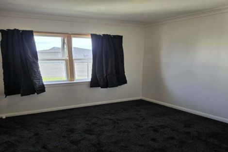 Photo of property in 195 Nikau Street, Saint Leonards, Hastings, 4120
