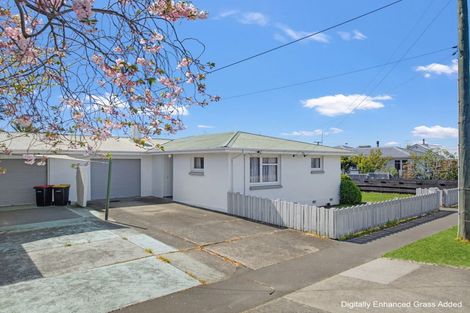 Photo of property in 57 Muller Road, Blenheim, 7201