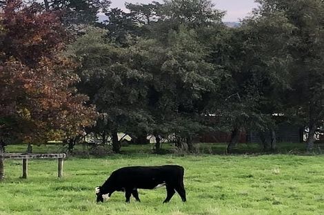 Photo of property in 110a Ruebe Road, Buckland, Pukekohe, 2677