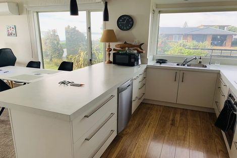 Photo of property in 17 Fannin Street, Bay View, Napier, 4104