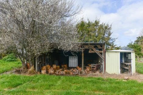 Photo of property in 33 Rogers Road, Bay View, Napier, 4104