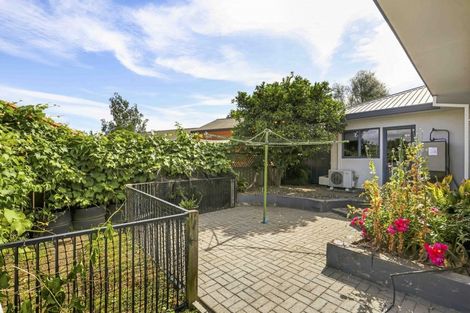 Photo of property in 51 Sunnyhills Avenue, Glenview, Hamilton, 3206