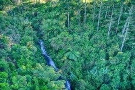 Photo of property in 299c Whakamarama Road, Whakamarama, 3179