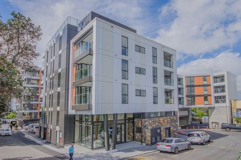 Photo of property in 505/10 Lion Place, Epsom, Auckland, 1023