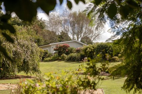 Photo of property in 85 Plummer Road, Whakamarama, Tauranga, 3179