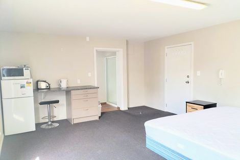 Photo of property in 45a Lees Street, Dunedin Central, Dunedin, 9016