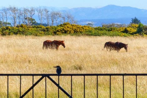 Photo of property in 453 Kainga Road, Brooklands, Christchurch, 8083