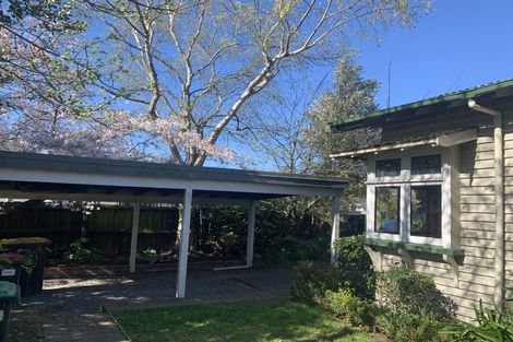 Photo of property in 231 Springfield Road, St Albans, Christchurch, 8014