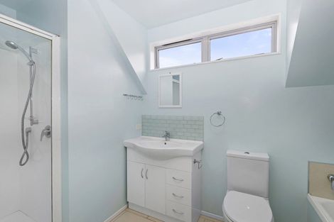 Photo of property in 68a Constable Street, Newtown, Wellington, 6021